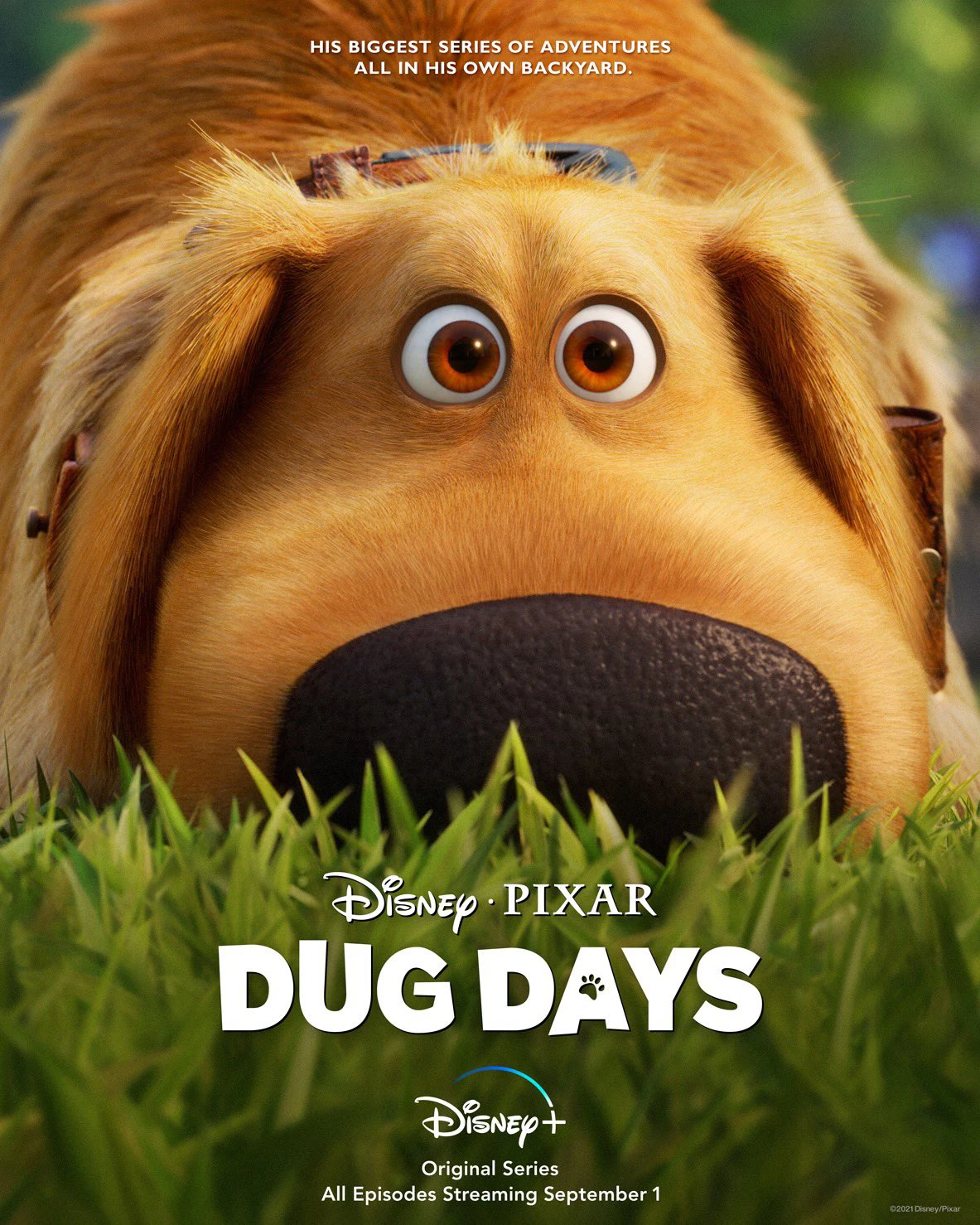 Cuộc Phiêu Lưu Của Dug | Dug Days (2021)